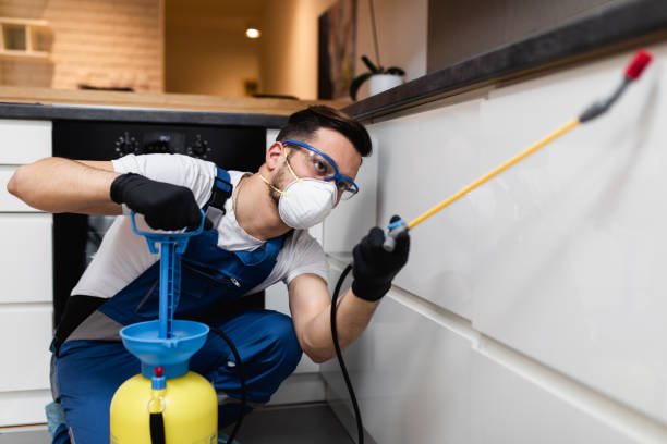 Best Local Pest Control Services  in North Miami Beach, FL