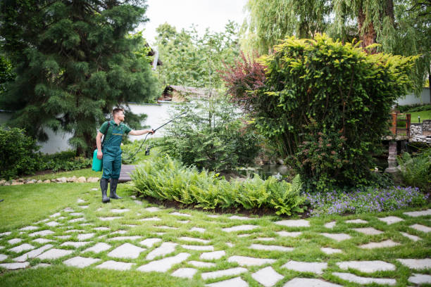 Best Best Pest Control Companies  in North Miami Beach, FL