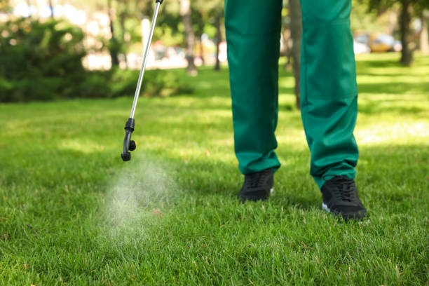 Professional Pest Control in North Miami Beach, FL