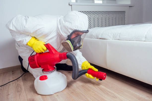 Best Bed Bug Extermination  in North Miami Beach, FL